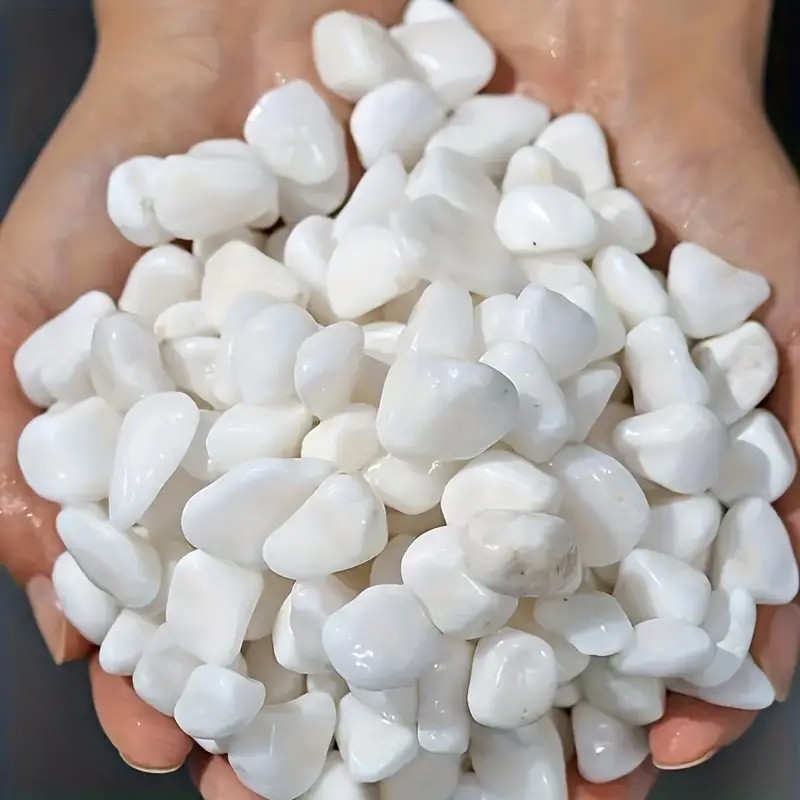 1L High-Quality Perlite Succul - огляд і ціна Pet Beds
