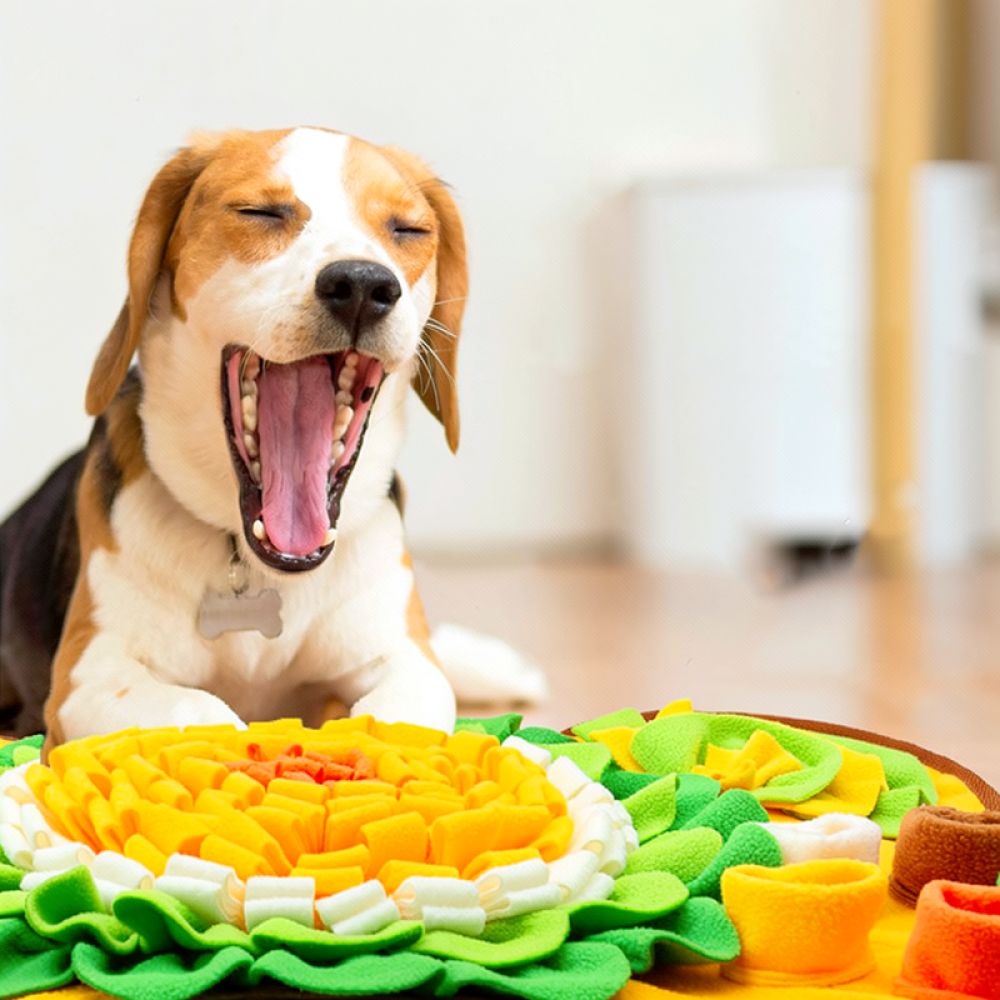 Dog Snuffle Mat Bone Design Pe - огляд і ціна Dog Puzzle Feeder Toy